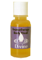 Body Wash, Trial Size, Divine