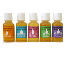 Body Wash Sampler 5 Pack
