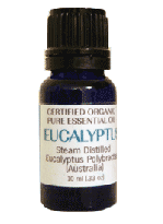 Certified Organic Essential Oil, Eucalyptus Polybractae