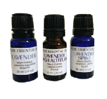 Lavender Essential Oil Collection
