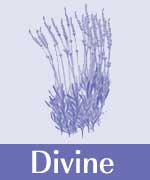 icons-divine.jpg