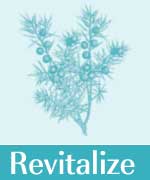 icons-revitalize.jpg