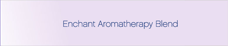prod-banner-enchant.jpg