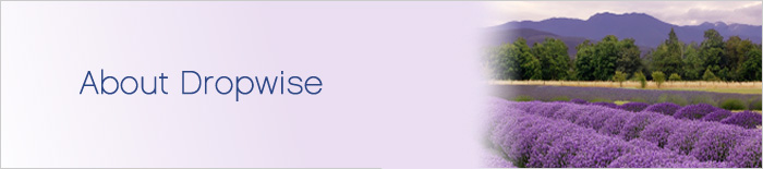 toplevel-banner-about.jpg